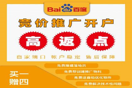 充值高返点案例研究：如何实现最大化收益